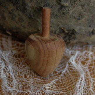 A spinning top toy, hand turned from local East Nashville cedar